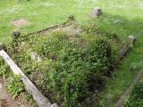 image number IMG_3220